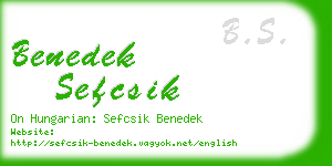 benedek sefcsik business card